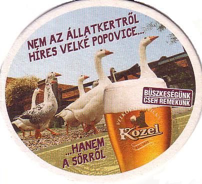 kozel06a.jpg